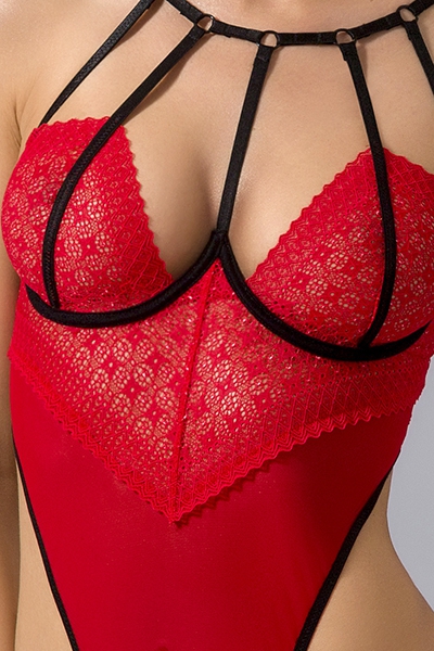 Body ouvert Akita - Image 4